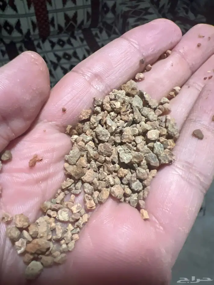 بطحاء حائل خياش 0