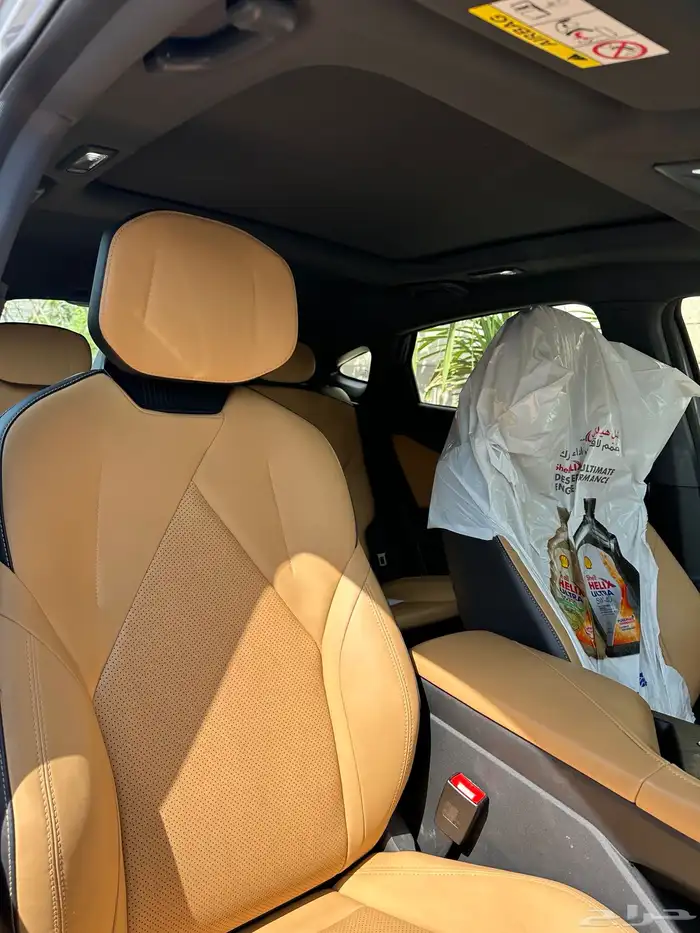 شانجان يوني في 2024 9