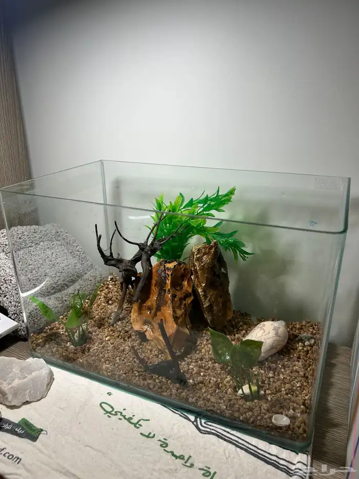 حوض سمك بتصميم حجري 0