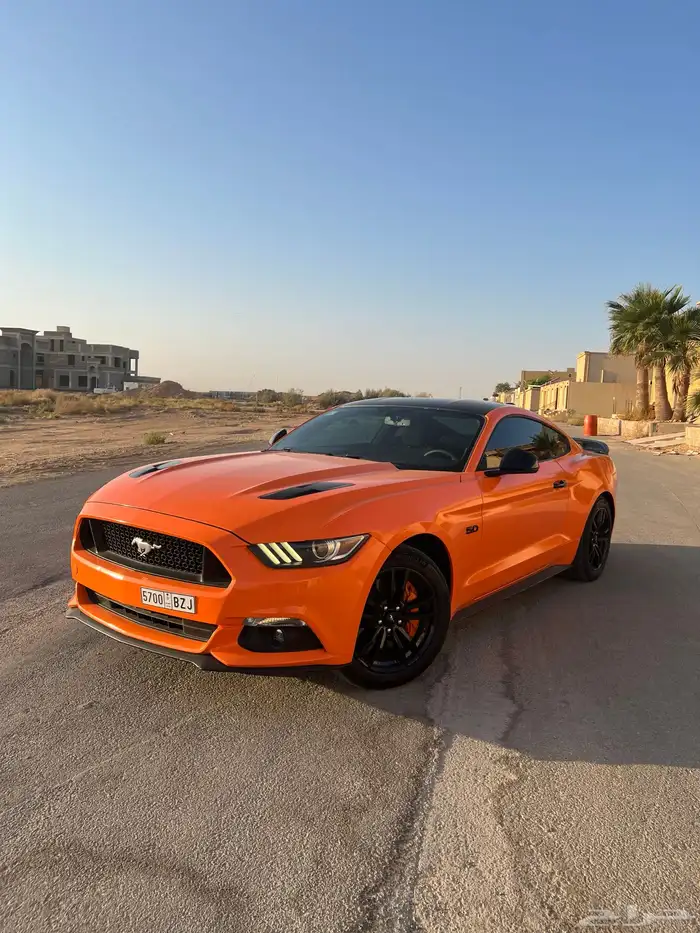 للبيع موستنج 2015 نظيف جدا 4