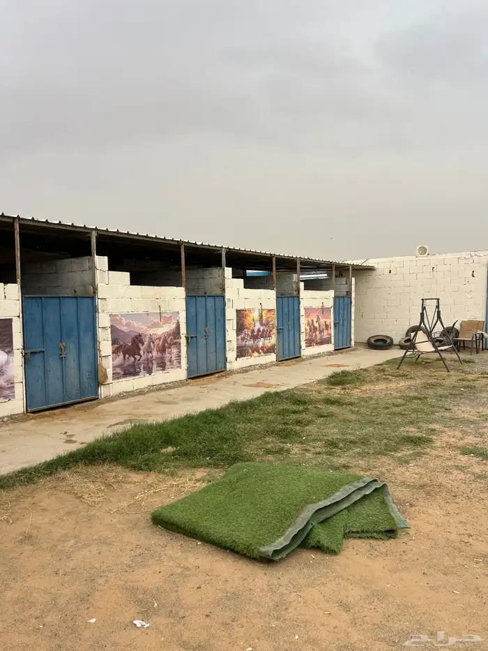 اسطبل 8 غرف 7