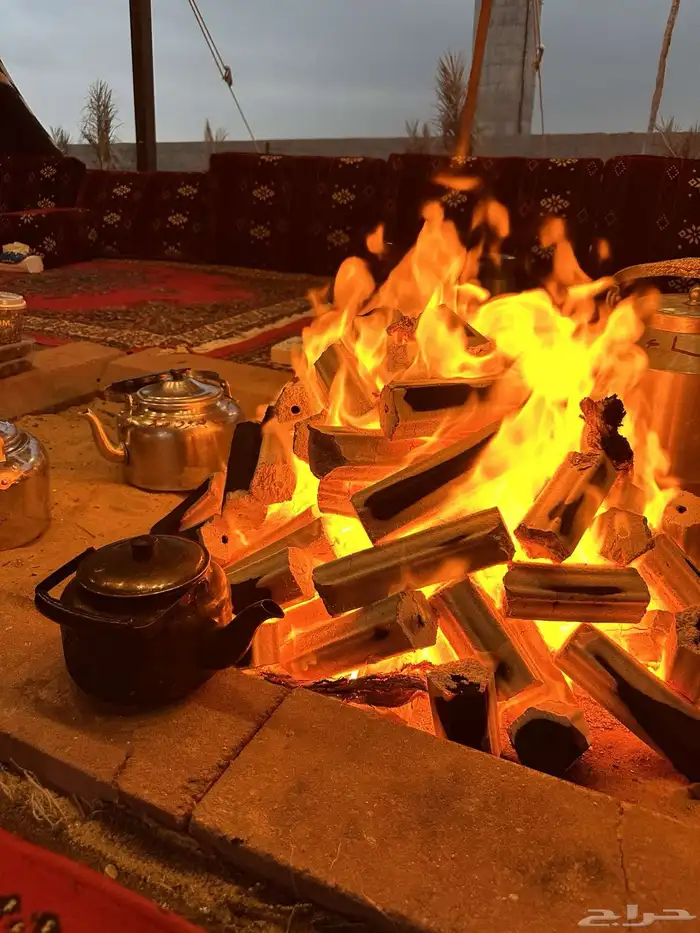 فحم وحطب مستورد جملة جودة وسعر 5