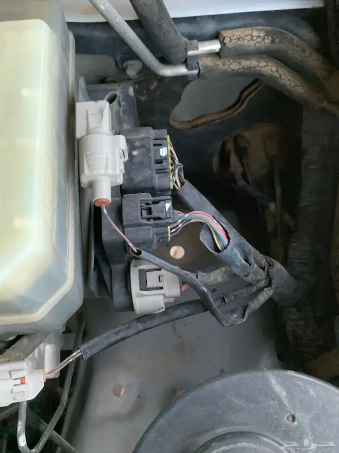 جكساار 2006 شد بلد 26