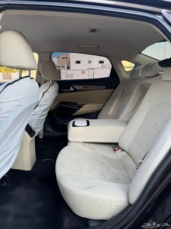 كادينزا 2017 9