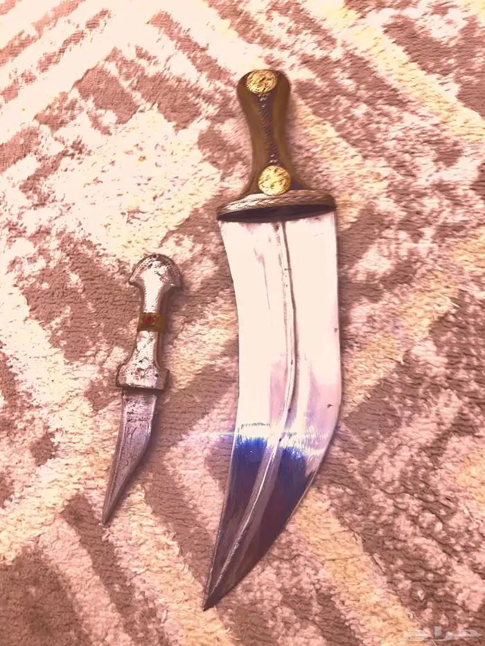 جنبيه زراف قبضه وافيه صيفاني البيع لاعلى سومه 4