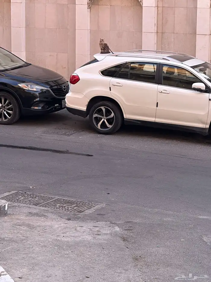 سياره بي وأي دي BYD موديل 2016 3