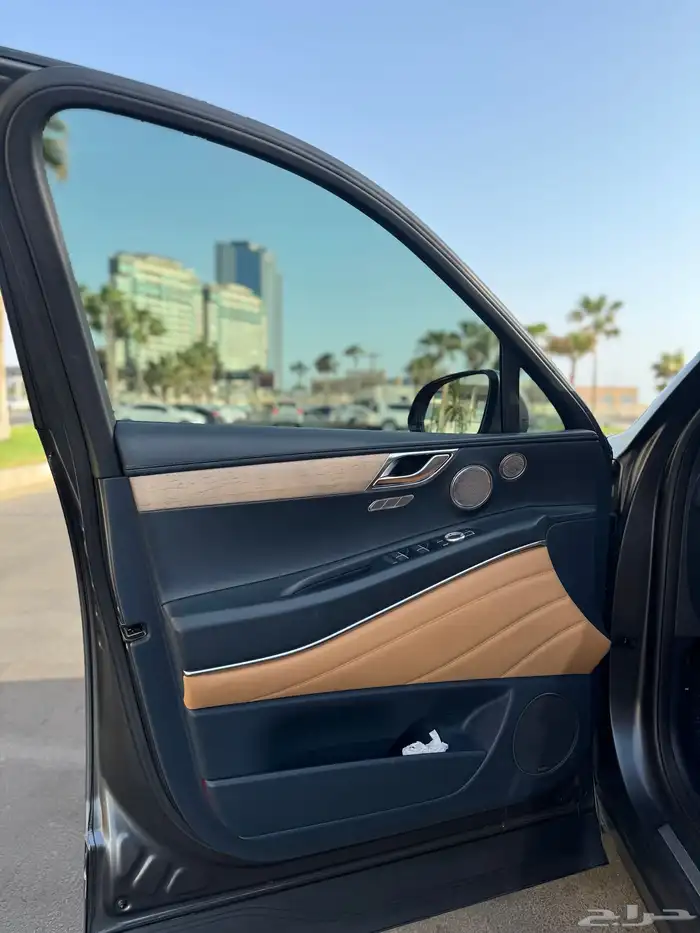 جينسس 2023 لون مطفي 10