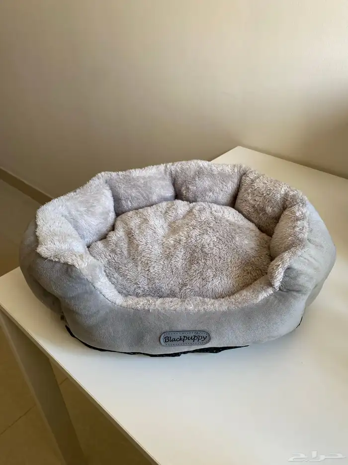 مستلزمات قطط للبيع 4