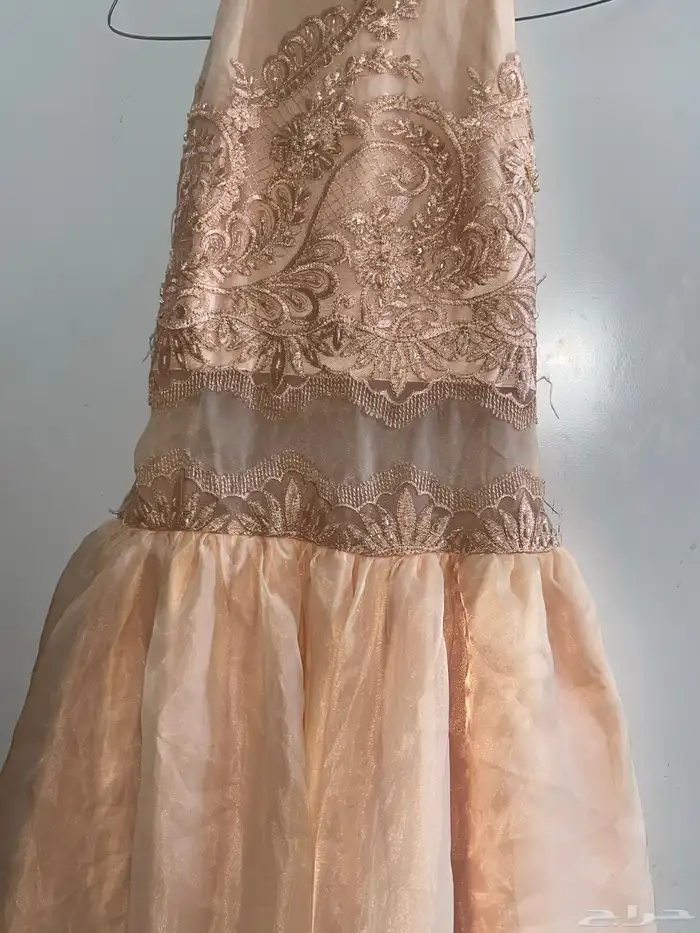 فستان فخم خياللل لون سكري تطريز يجننن 1