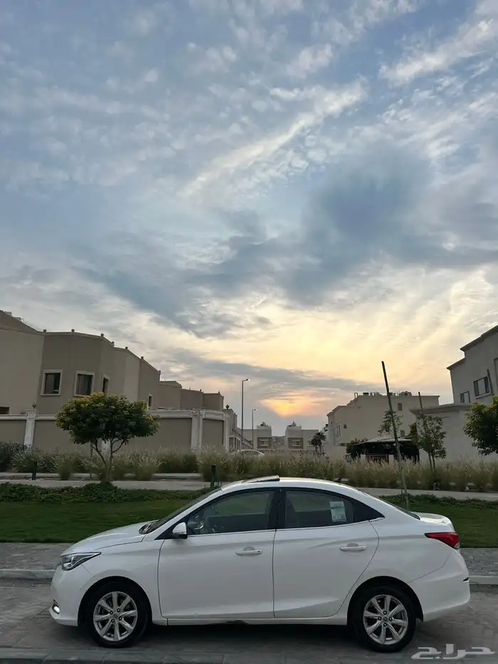 شانجان السفن وارد المجدوعي فل كامل 4