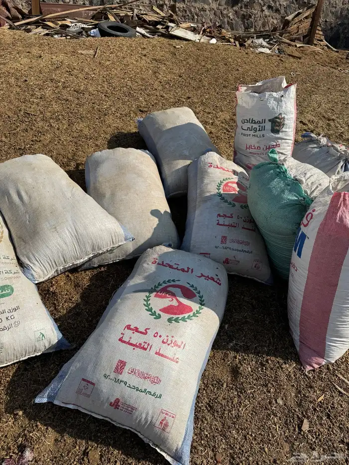 دمن نضيف للبيع 2