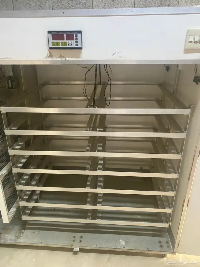 فقاسه نظيفه 2464 9