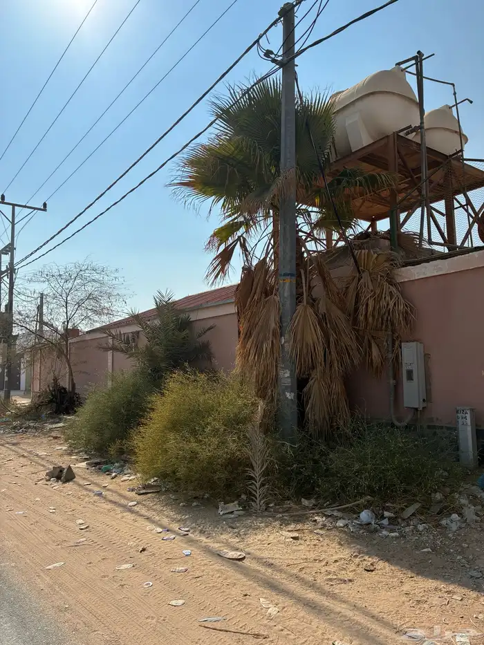 استراحة في ديراب 2000متو 1