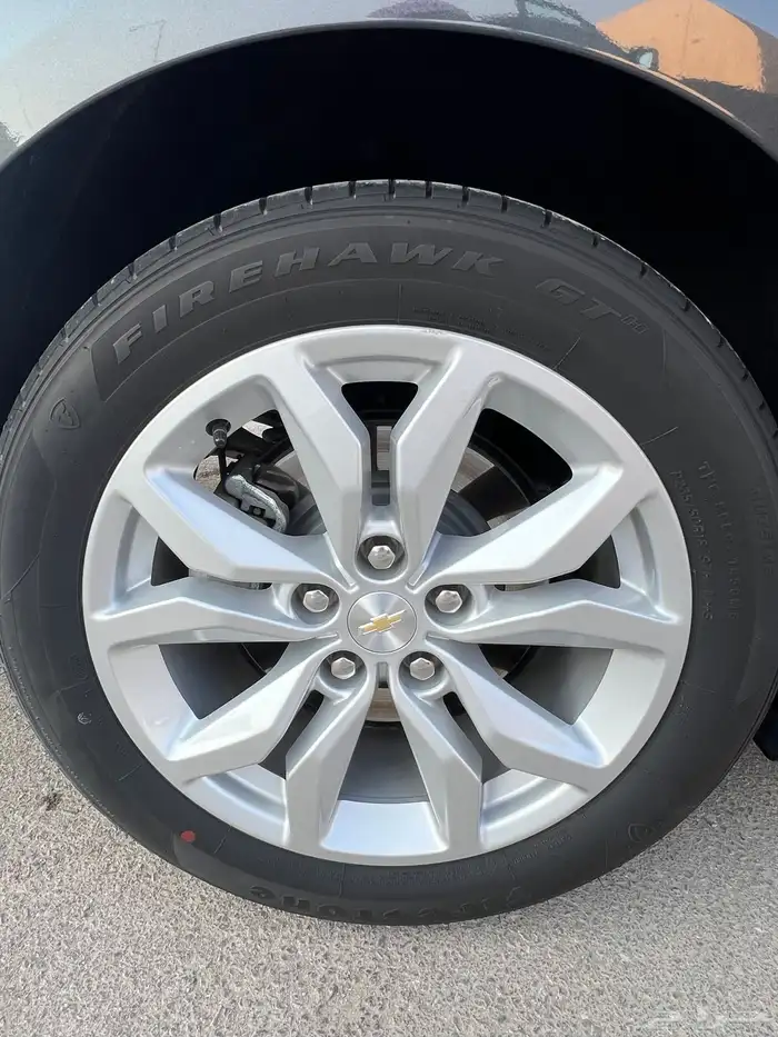 امبالا 2019 - LS مطور مخزنه شبه اصفار 18