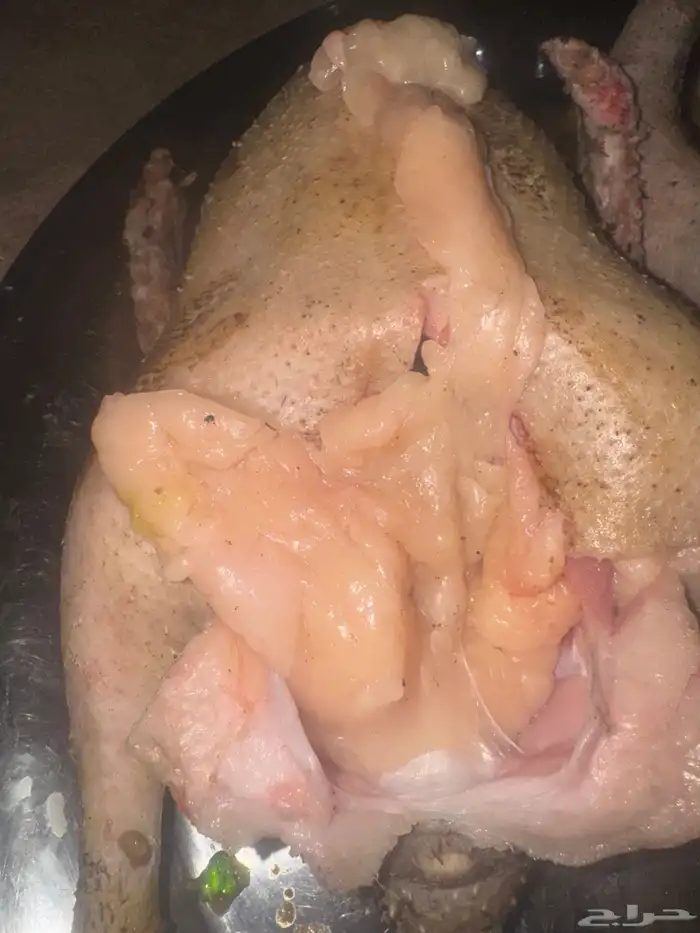 وز عراقي وبلدي 2