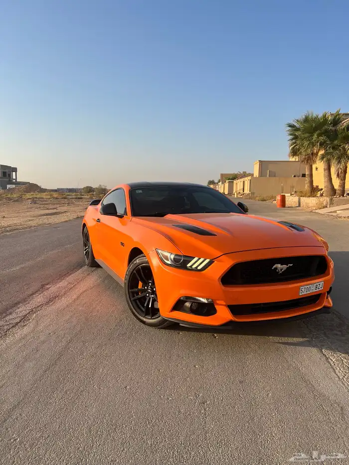 للبيع موستنج 2015 نظيف جدا 6