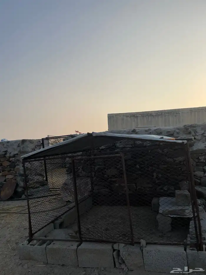 شبك حمام أو دجاج 2في 2 1