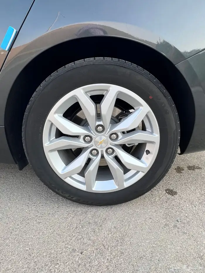 امبالا 2019 - LS مطور مخزنه شبه اصفار 19