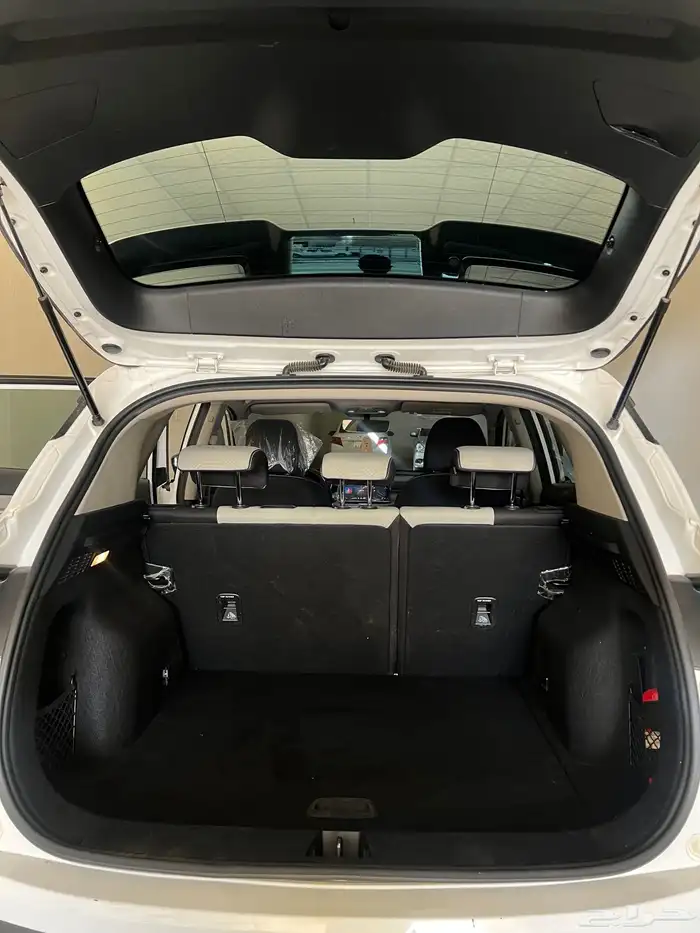 جيلي كولراي 2023 9