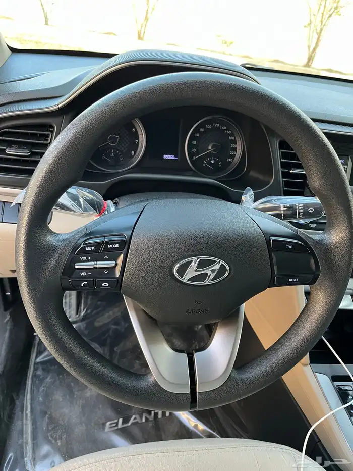 النترا 2020 13