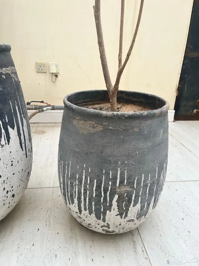 أحواض زراعة من نيفار 2