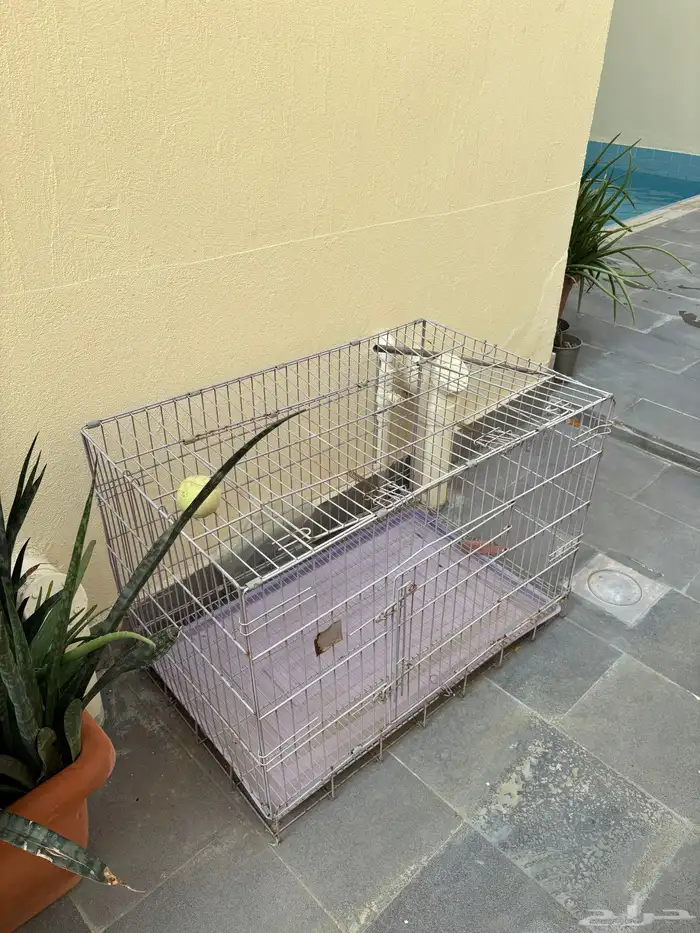 بيت قفص كلاب حيوانات 1