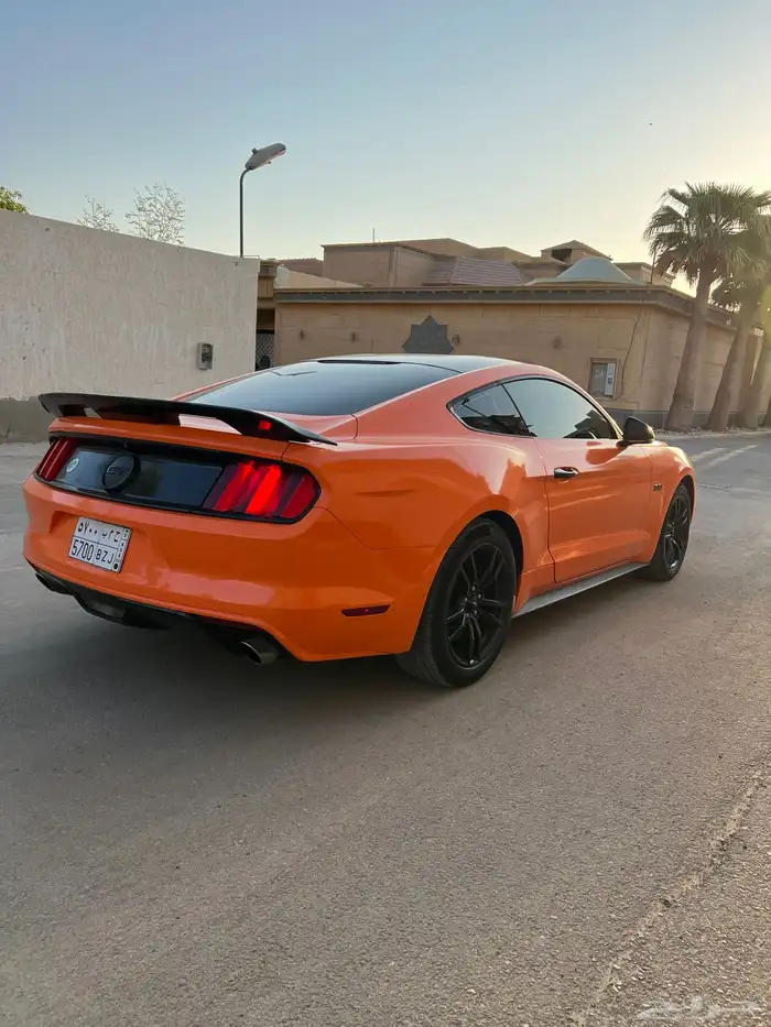 للبيع موستنج 2015 نظيف جدا 13