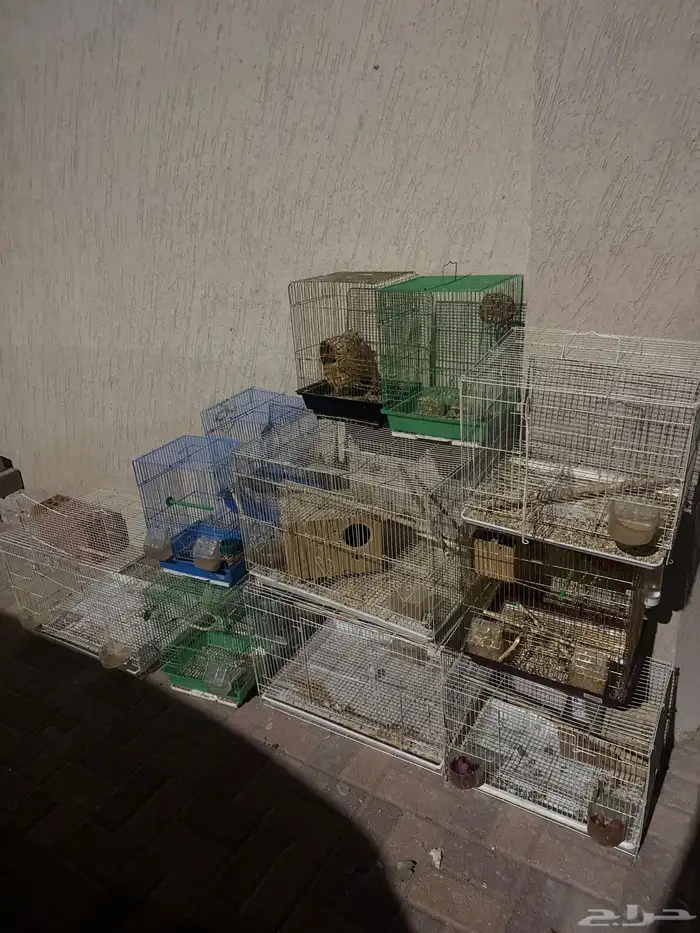 أقفاص طيور 0