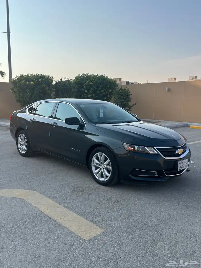 امبالا 2019 - LS مطور مخزنه شبه اصفار 0