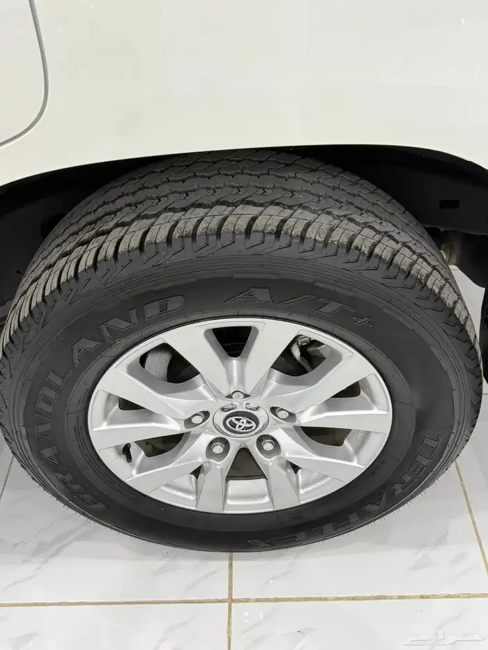 في اكس ار 2016 رقم 1 45