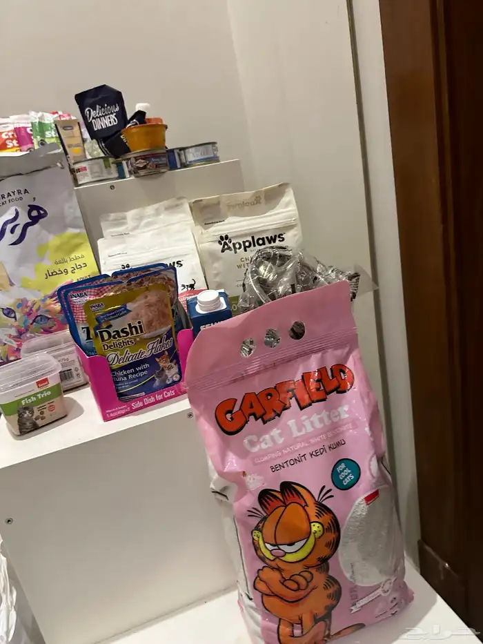 اكل قطط منوع 3