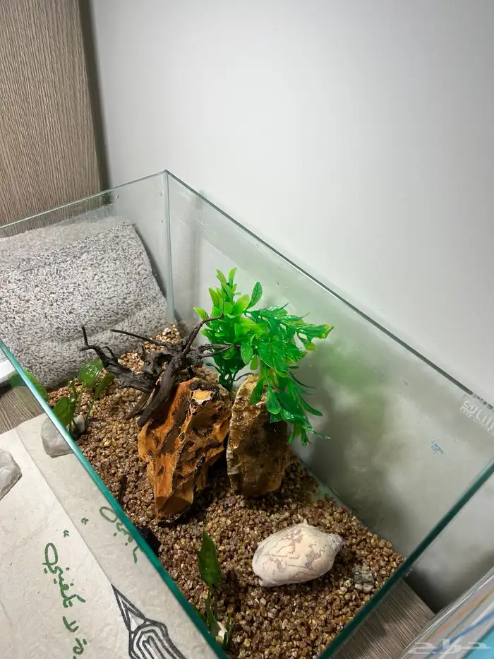 حوض سمك بتصميم حجري 1