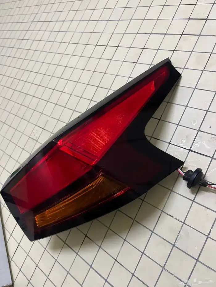 اصطب التيما خلفي 2020 2