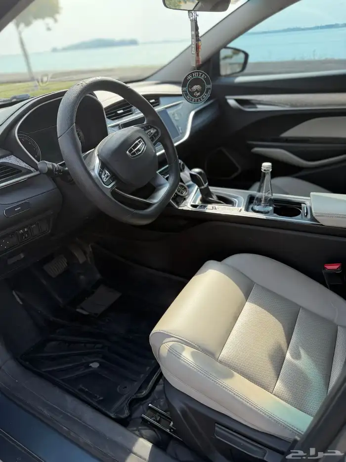 جيلي بينراي 2022 للبيع 8