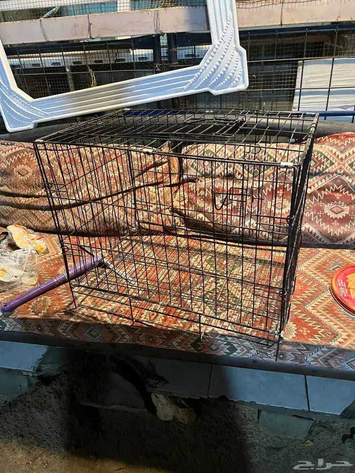 قفص قطط حاله جيده 2