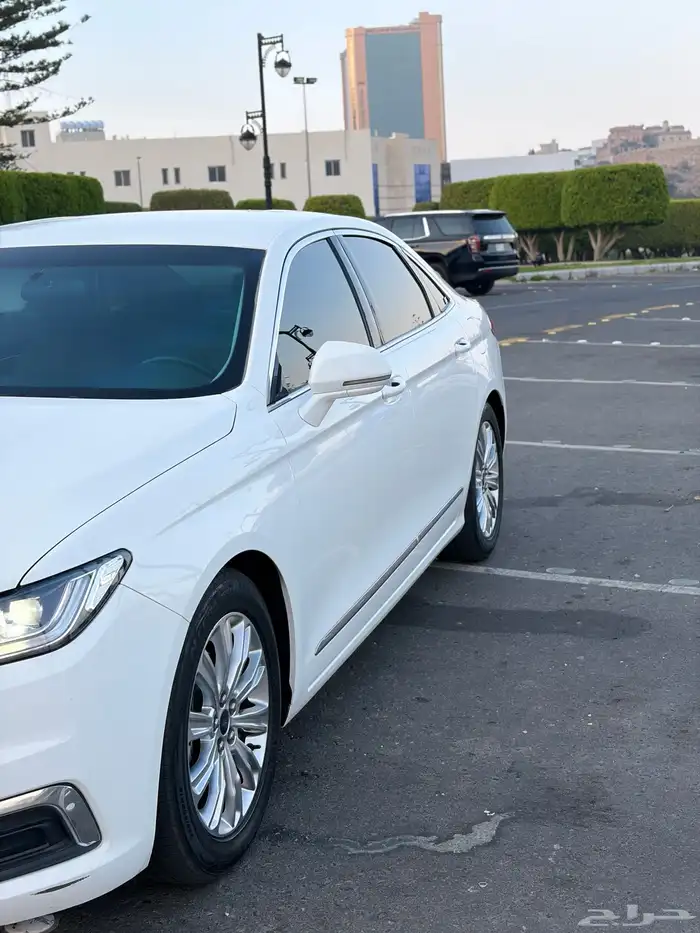 تووس اللون أبيض 4