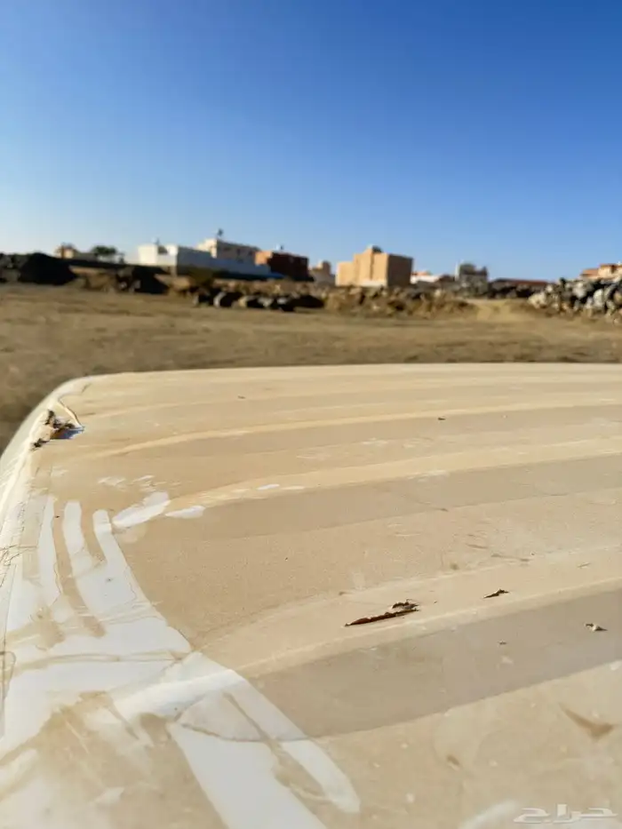 ربع 2022 نص فل شبه الاصفار 20