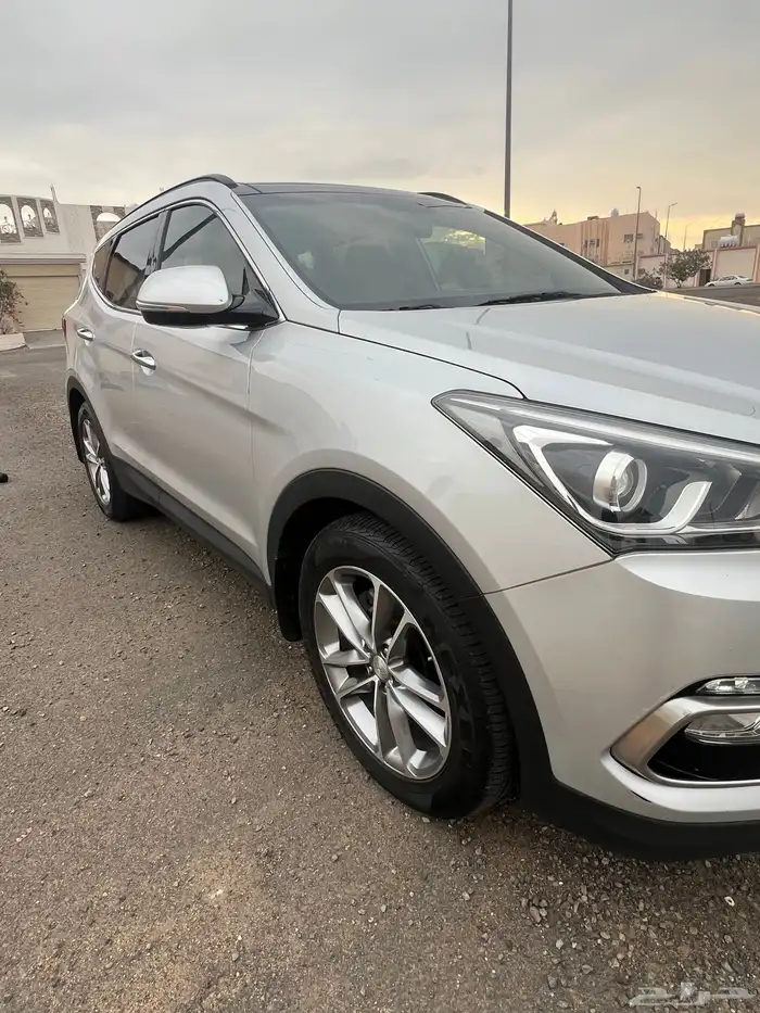 سنتافي 2018 14