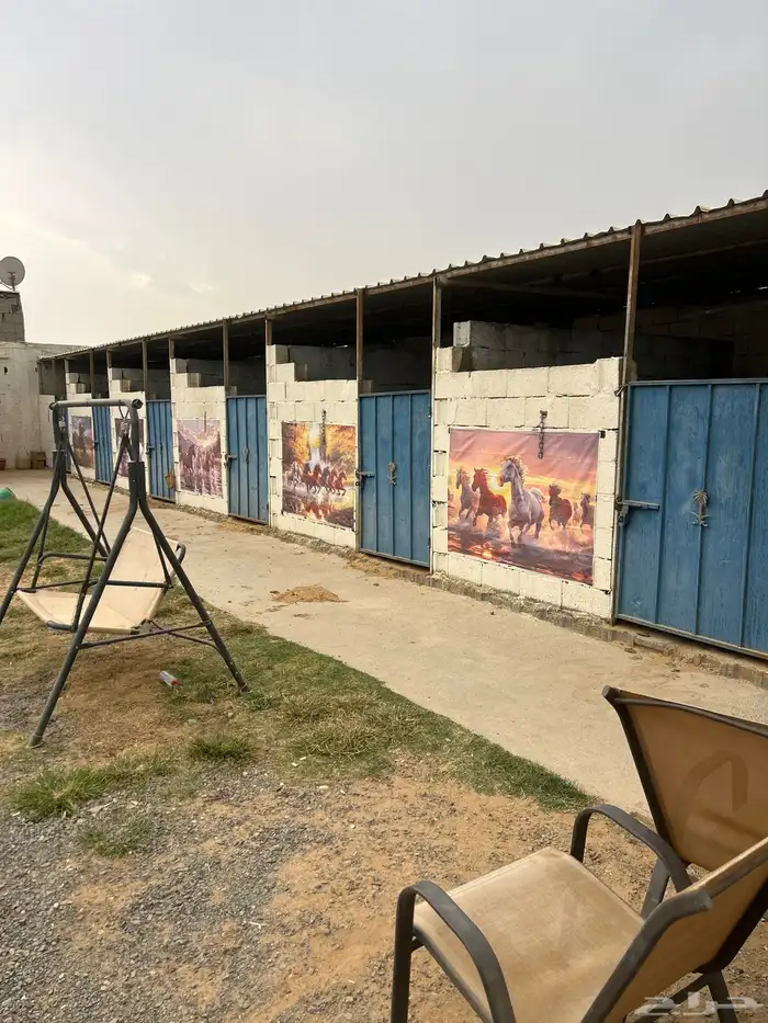 اسطبل 8 غرف 4