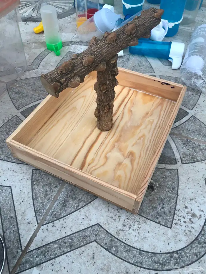 مجموعة من مستلزمات الطيور 11