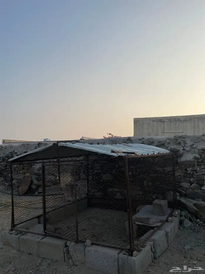 شبك حمام أو دجاج 2في 2 3