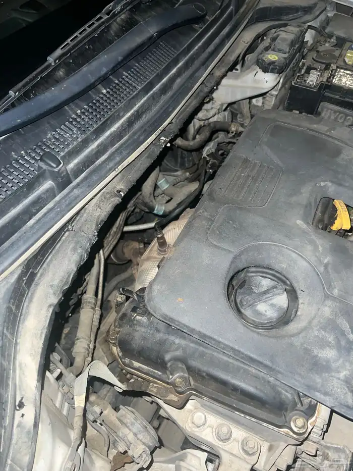 النترا 2020 نص فل 6