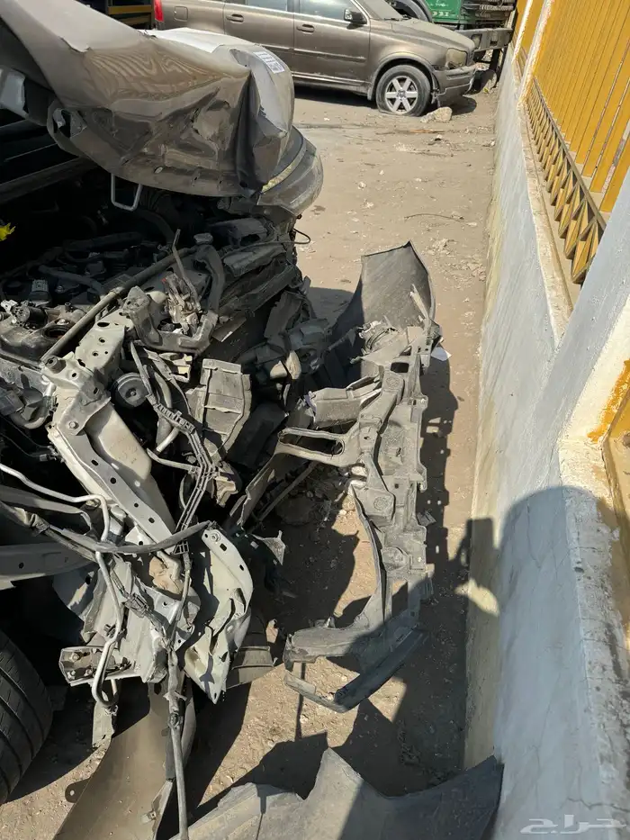 فيلوز 2024 مصدومه 7