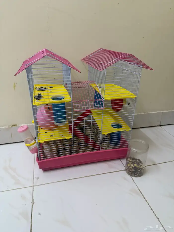 هامستر للبيع 0