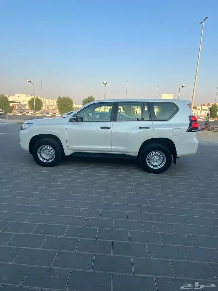 بردوا 2021 ممشى قليل 4