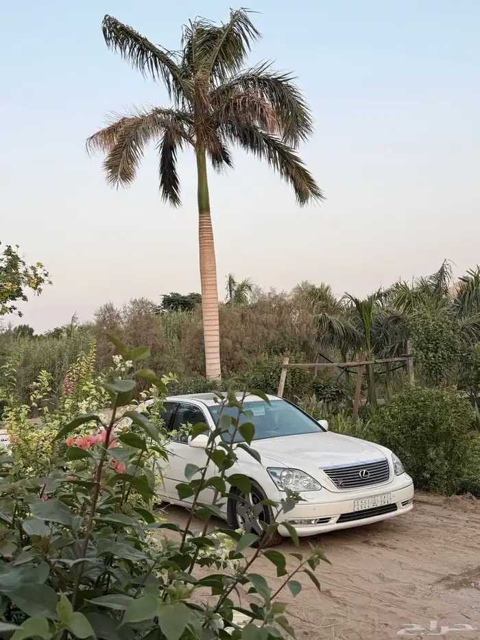 لكزس LS 430 سعودي للبيع 20