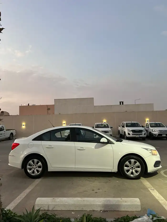 كروز 2016 الأحوال المدنية ممشى قليل 5