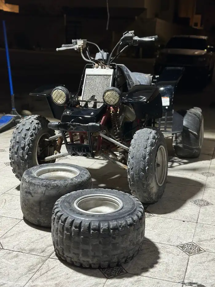 دباب بانشي 2005 1