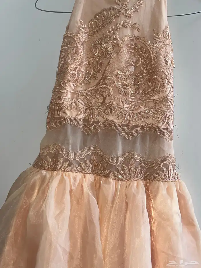 فستان فخم خياللل لون سكري تطريز يجننن 2