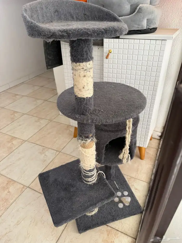 اغراض للقطط 0